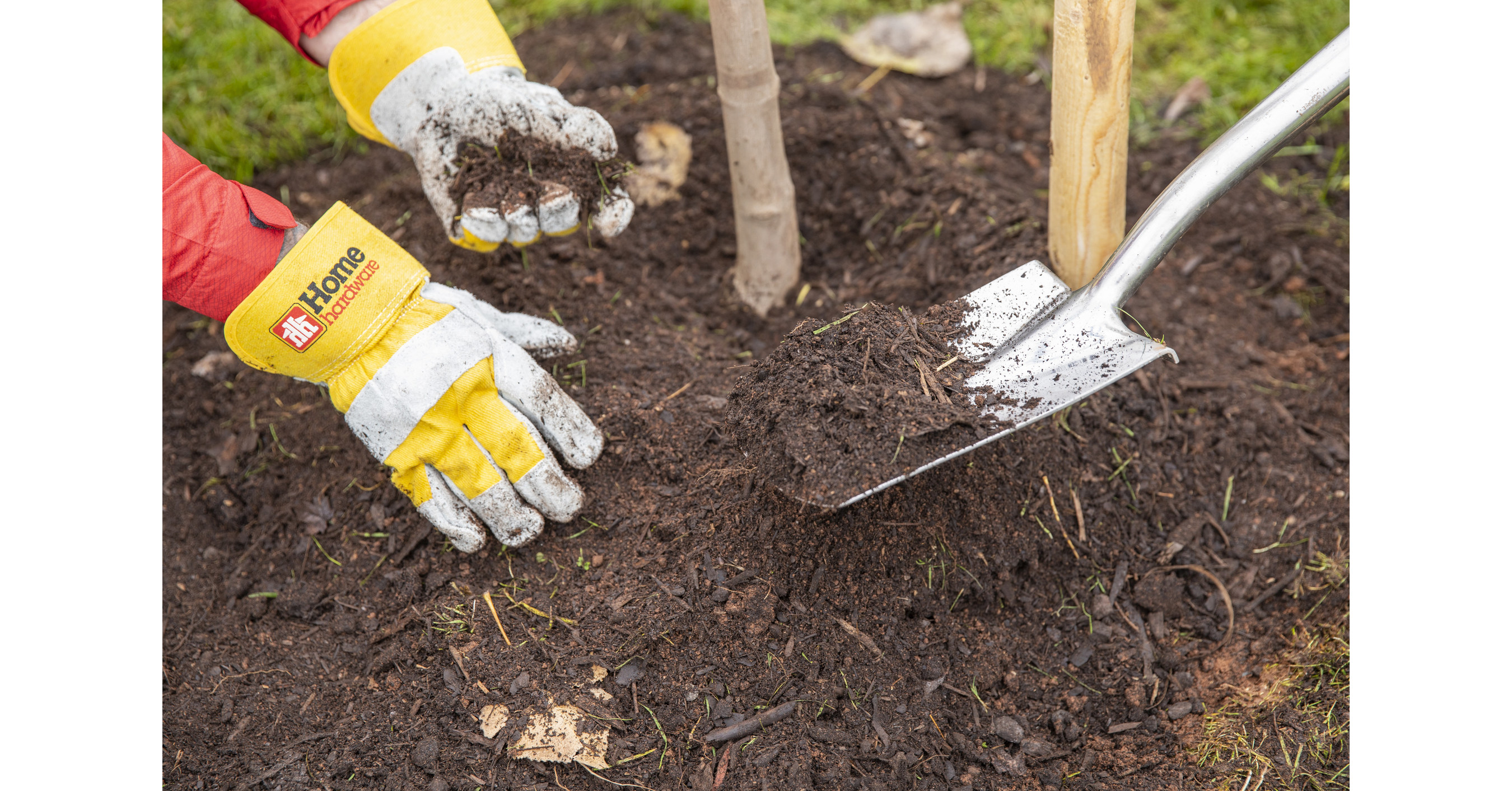 Home Hardware célèbre 30 ans d'embellissement communautaire avec Arbres Canada